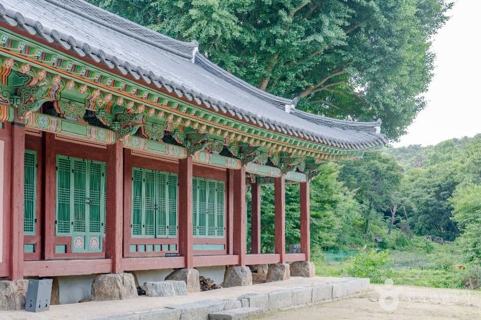 침괘정 사진 4