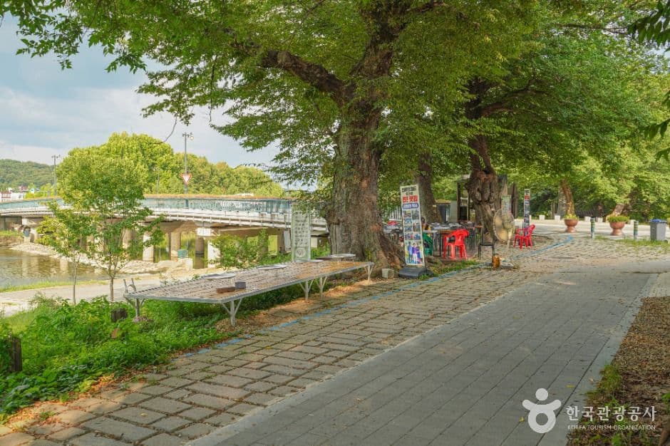 담양국수거리 사진 2