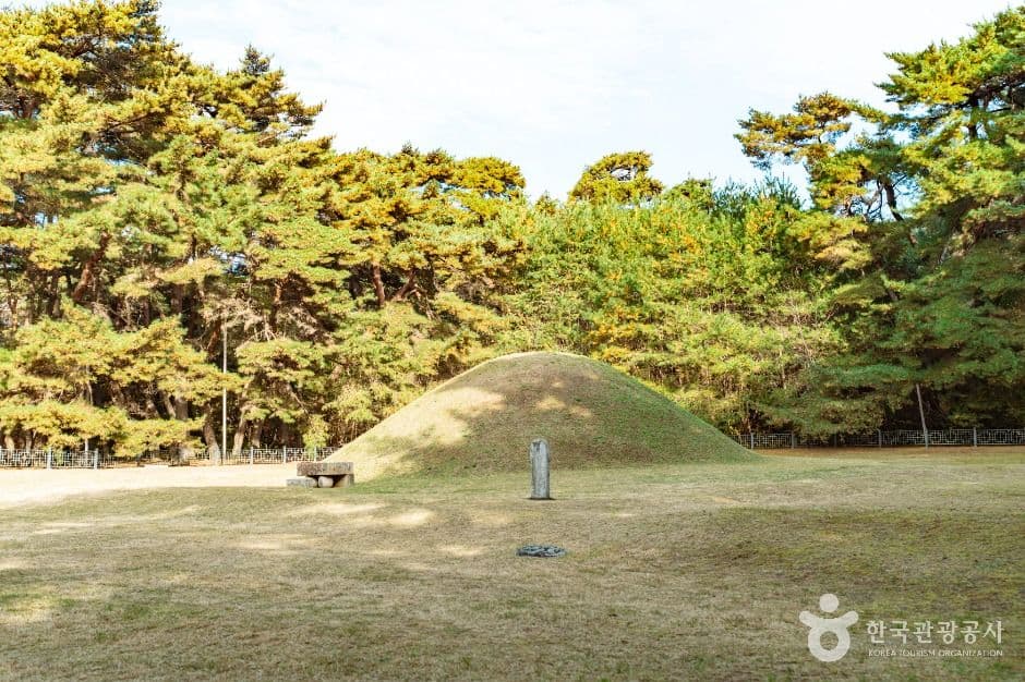 경주 경애왕릉 사진 4