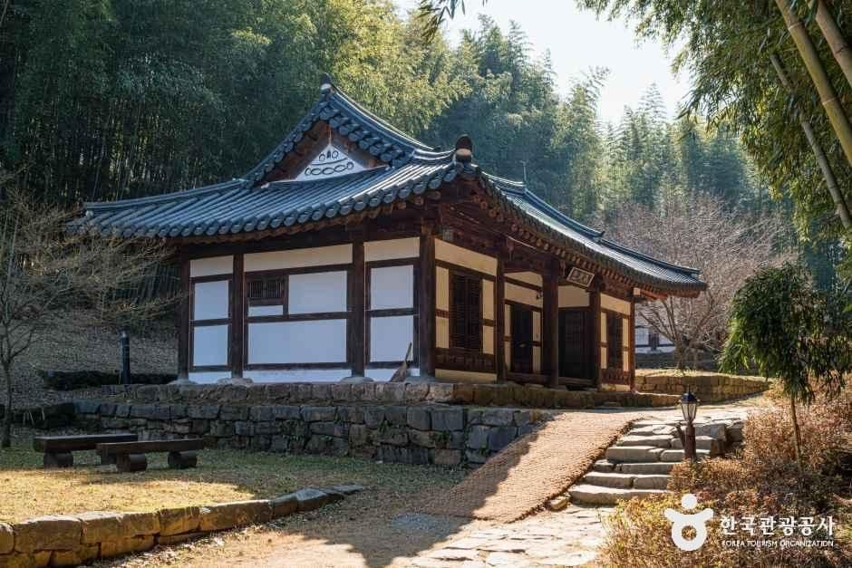 죽녹원 사진 3