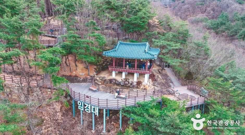 임경대