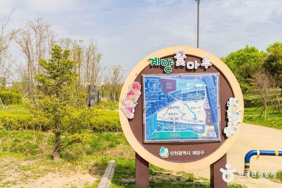 계양꽃마루 사진 3