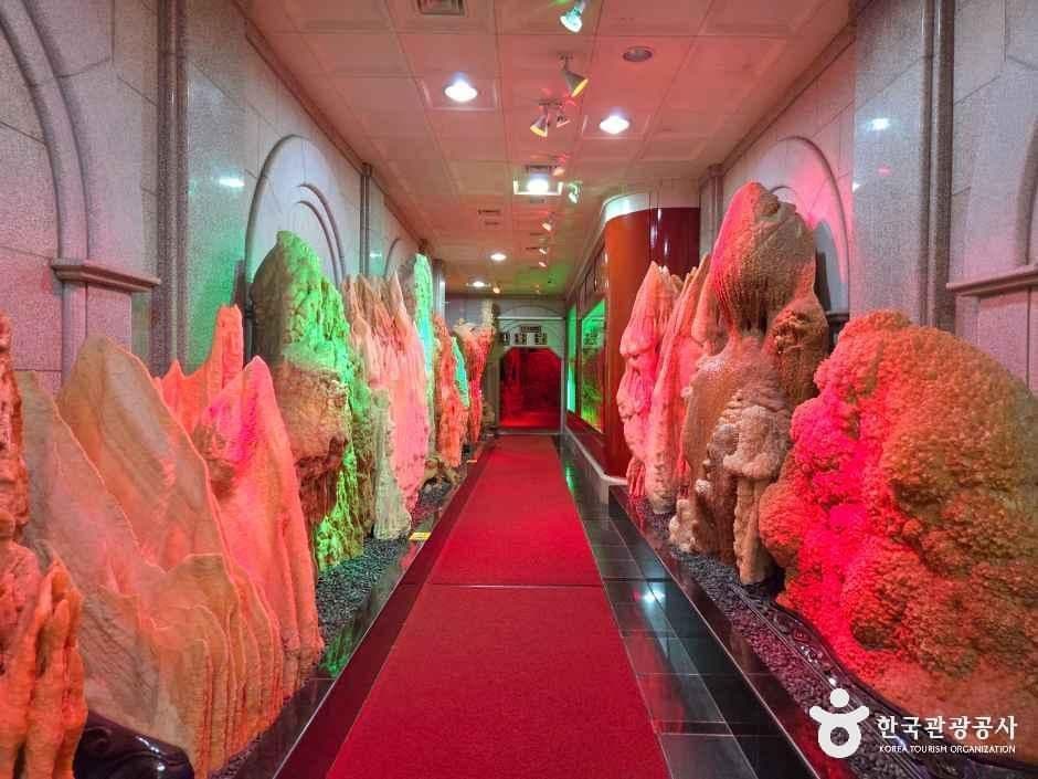 강원종합박물관 사진 3