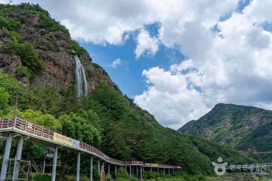 월영산 출렁다리 사진 4