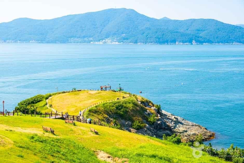 바람의 언덕 사진 4