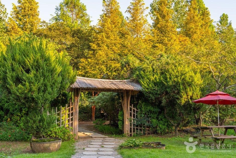 청산수목원 사진 4