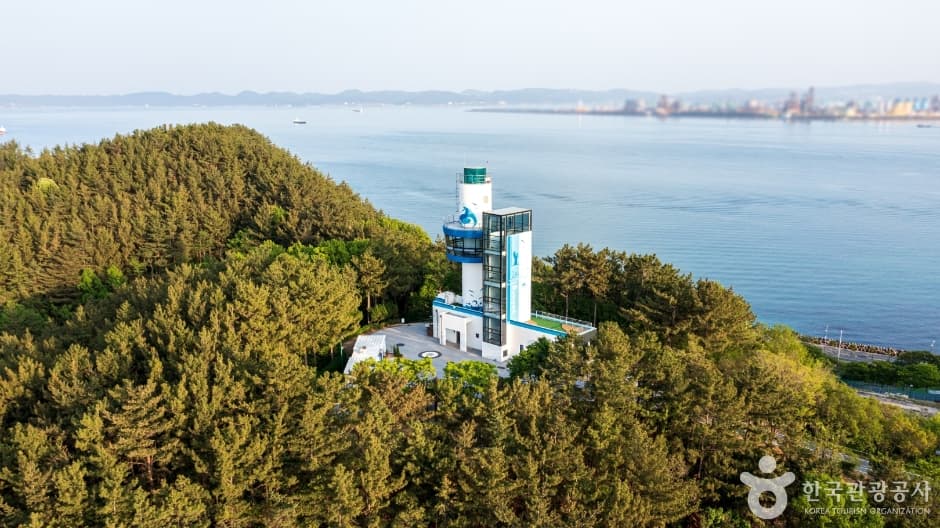 환호공원 사진 1
