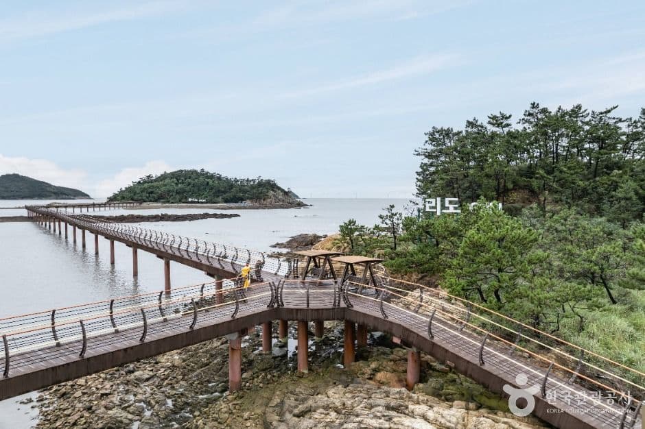 둔장해변 사진 5