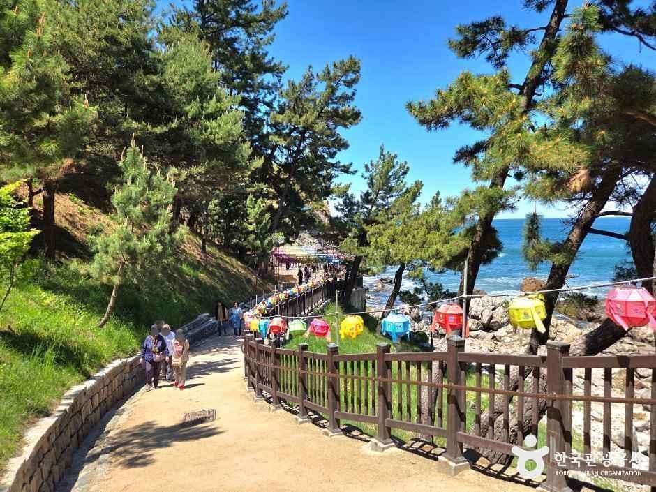 낙산사 사진 7
