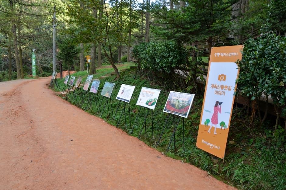 장동산림욕장 사진 5