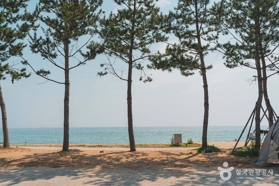 장사해수욕장 사진 2
