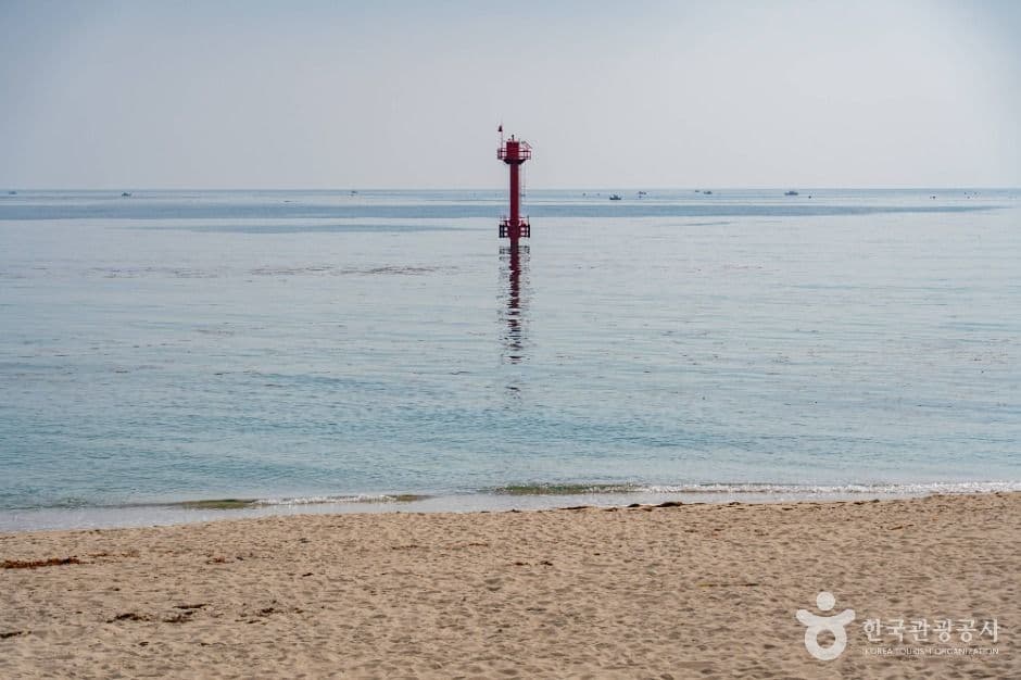 봉포해변 사진 5