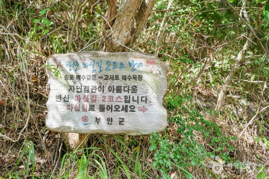 송포항 사진 2