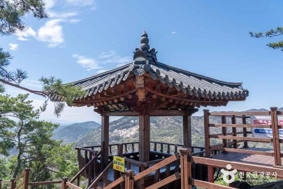 용궐산하늘길
