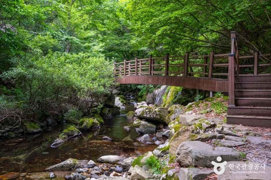 항골계곡 사진 2