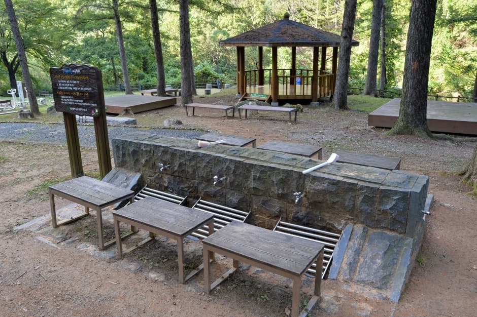 장동산림욕장 사진 6