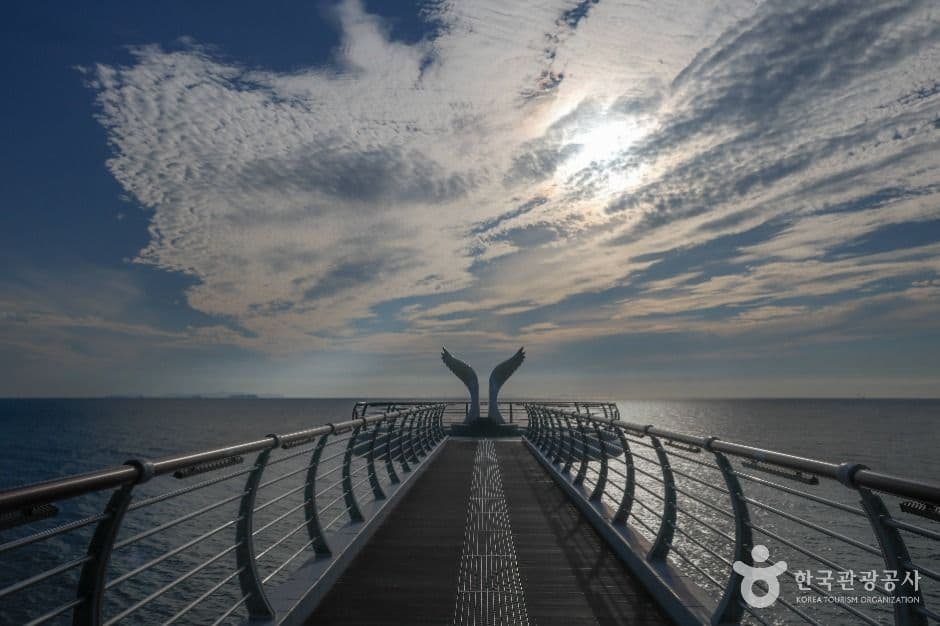백수해안도로 사진 4