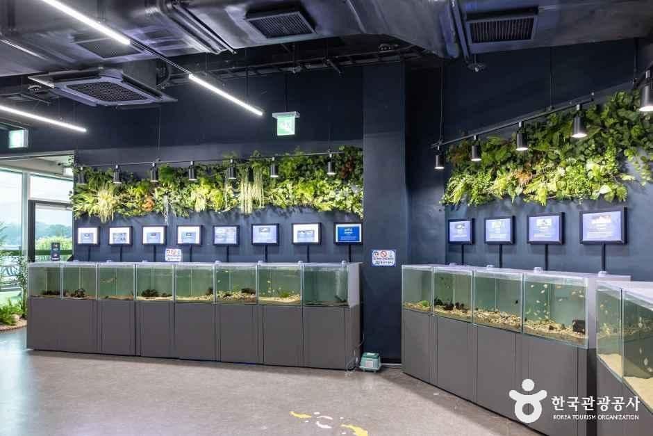 충북아쿠아리움 사진 1