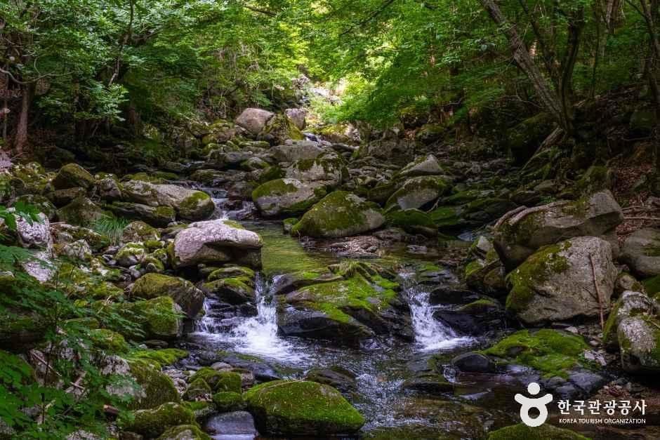 항골계곡 사진 3