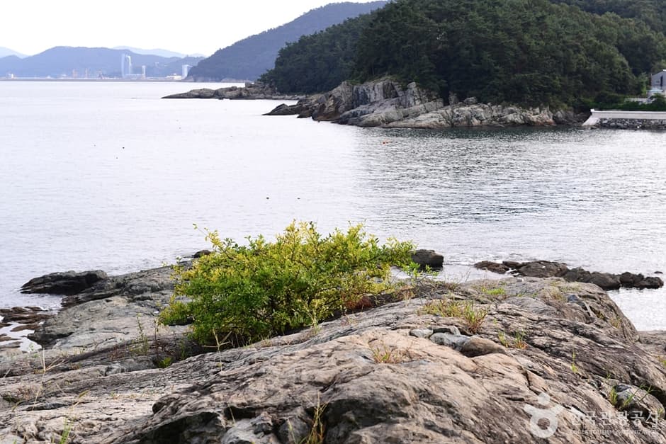모사금해수욕장