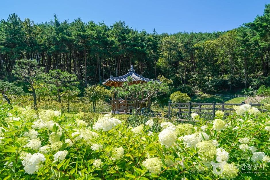 운제산산림욕장