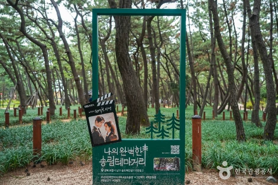 송도솔밭도시숲 사진 3