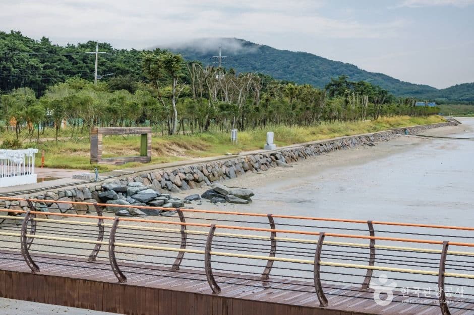 둔장해변 사진 8