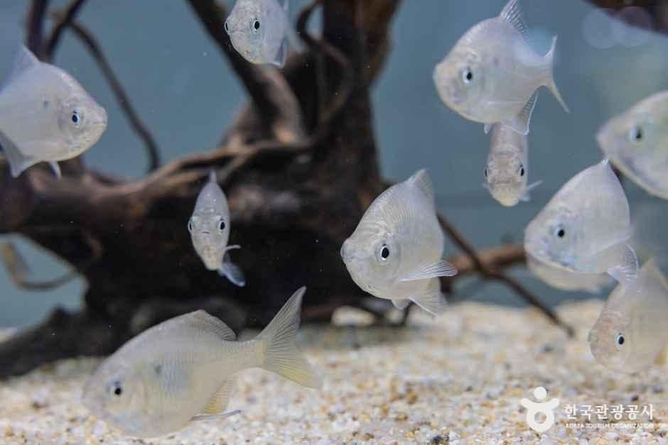 충북아쿠아리움 사진 2