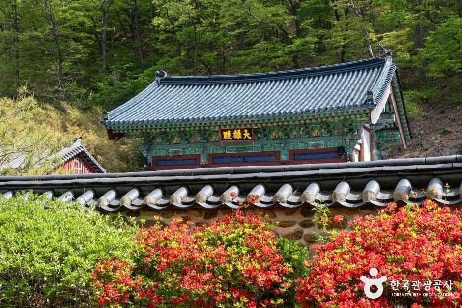 반야사(영동) 사진 2