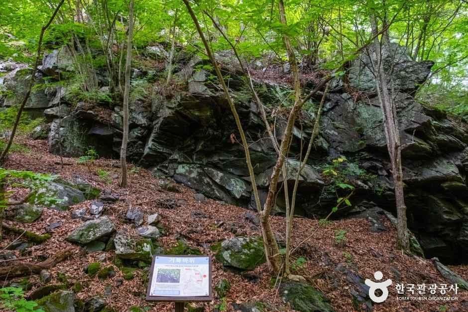 항골계곡 사진 4