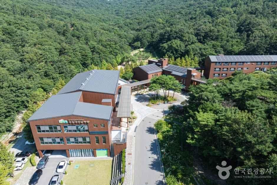 국립대전숲체원 사진 3
