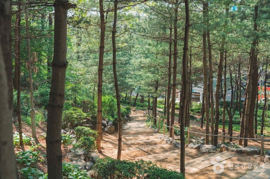 학동근린공원 사진 2