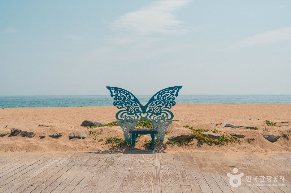 장사해수욕장 사진 5
