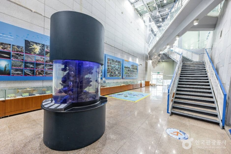 통영수산과학관 사진 4