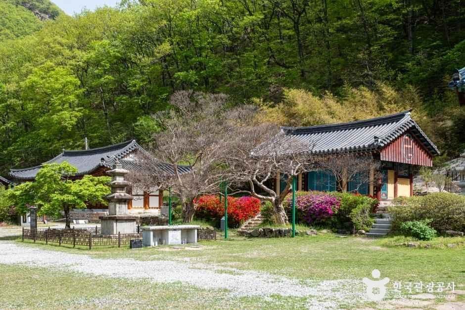 반야사(영동) 사진 3