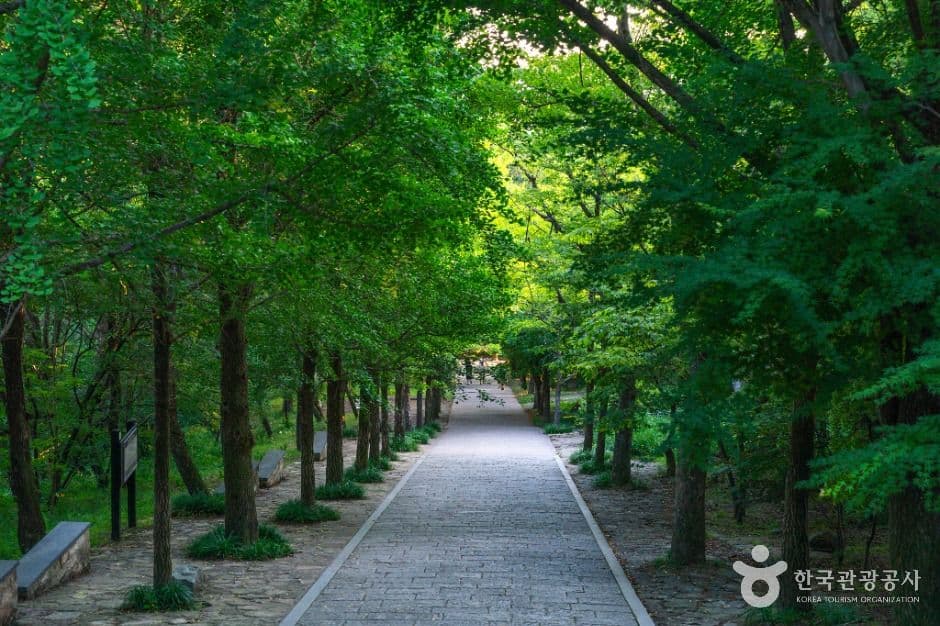 부석사 [유네스코 세계유산] 사진 3