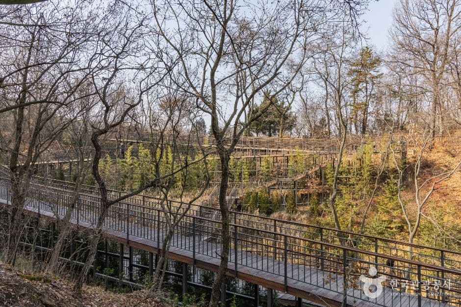대모산도시자연공원