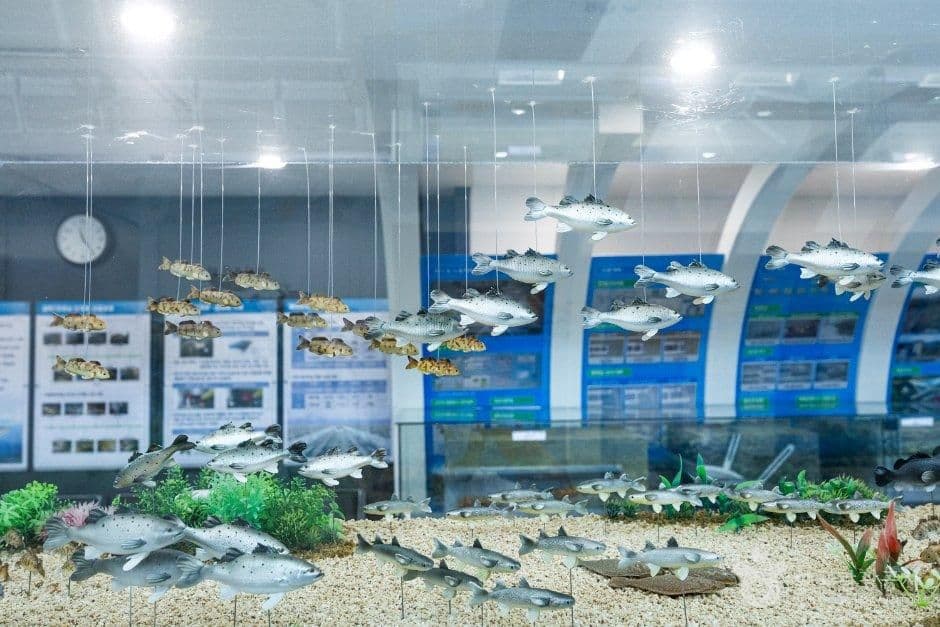 보령해저터널홍보관 사진 6