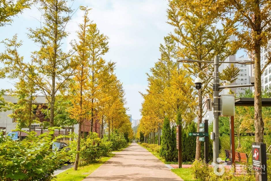 푸른수목원