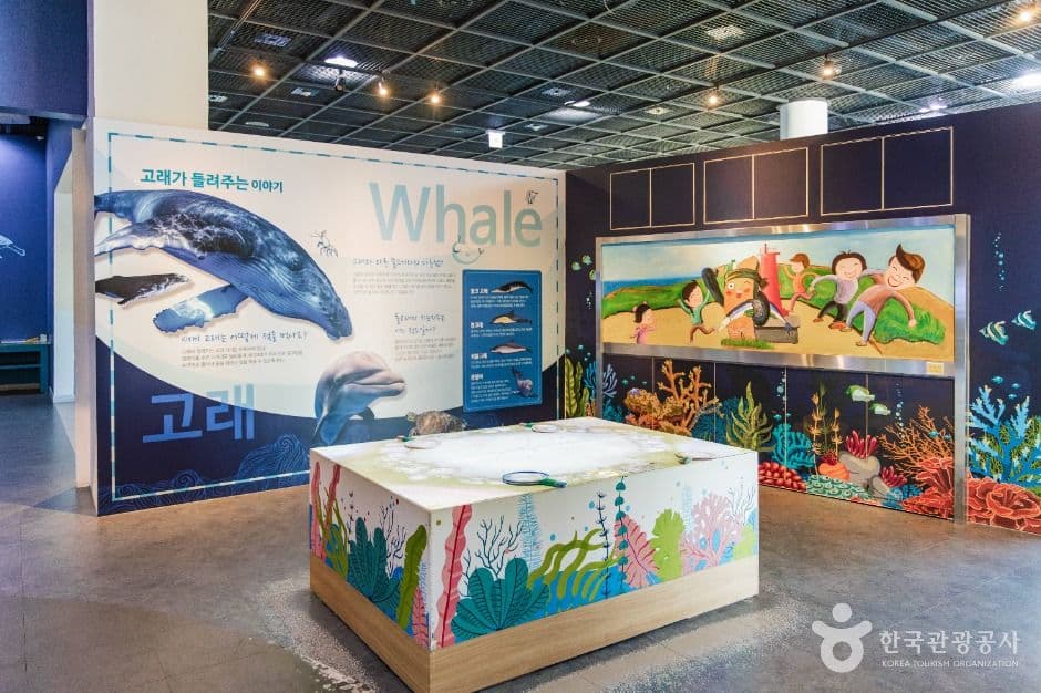 구룡포과메기문화관 사진 6