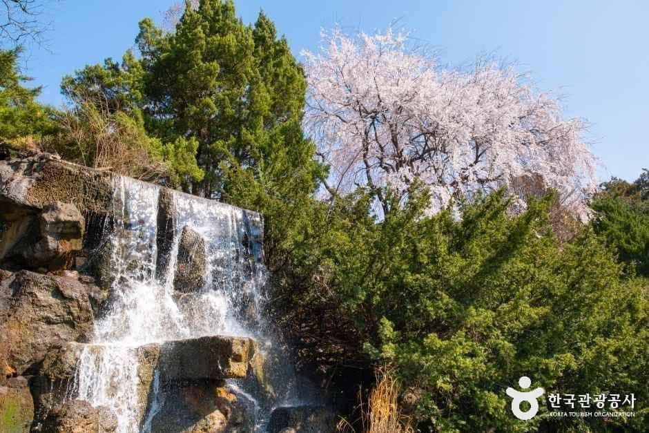 벽초지수목원 사진 7
