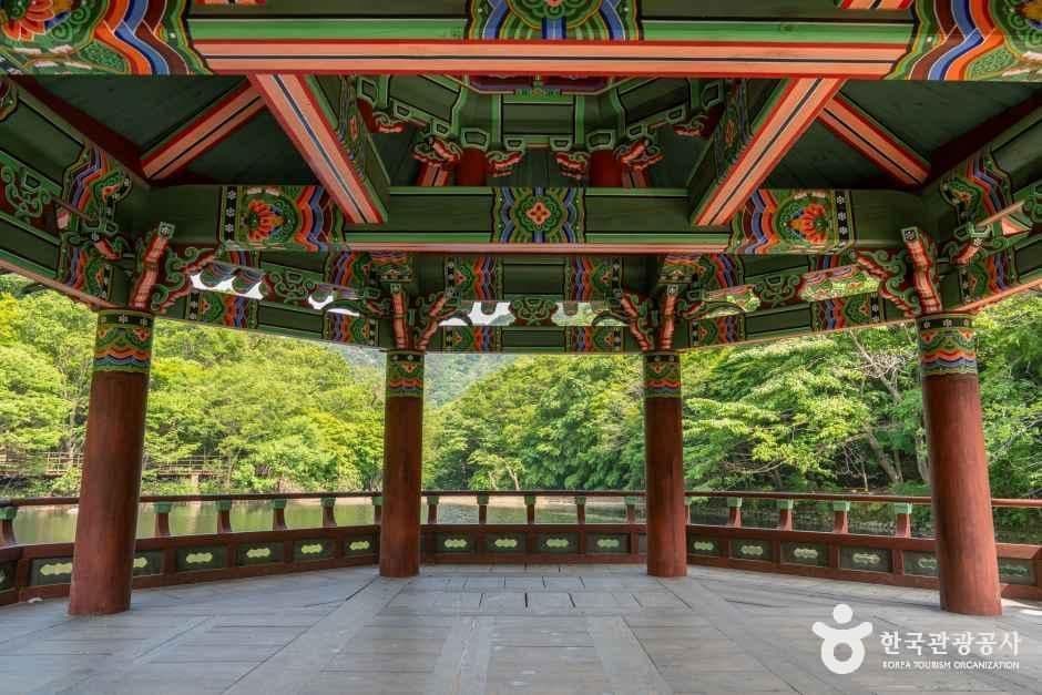 우화정(내장산) 사진 5