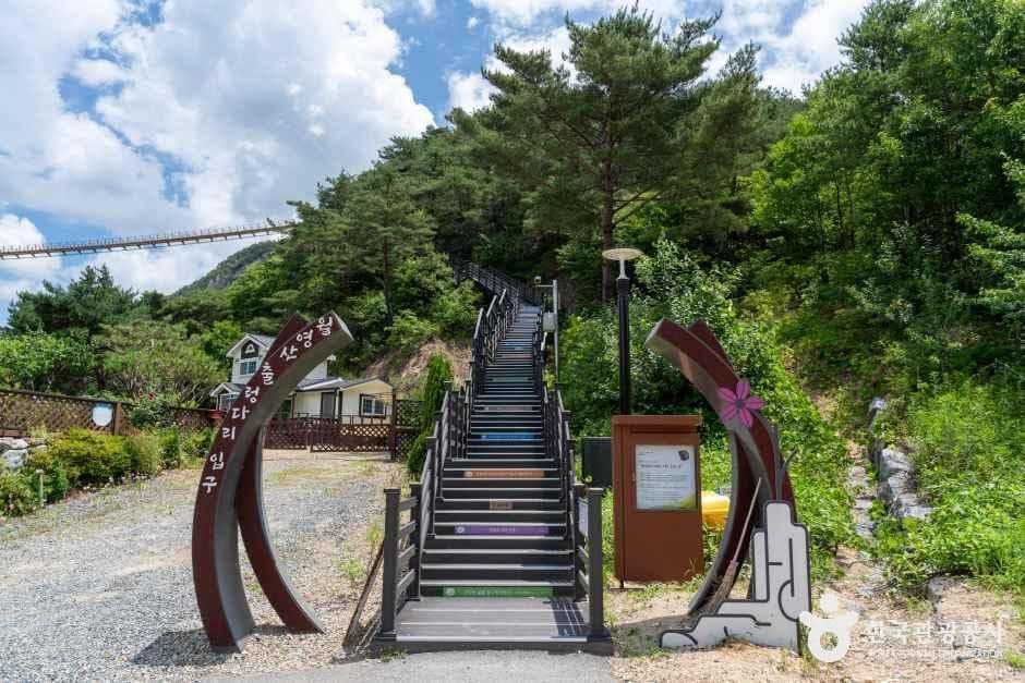 월영산 출렁다리