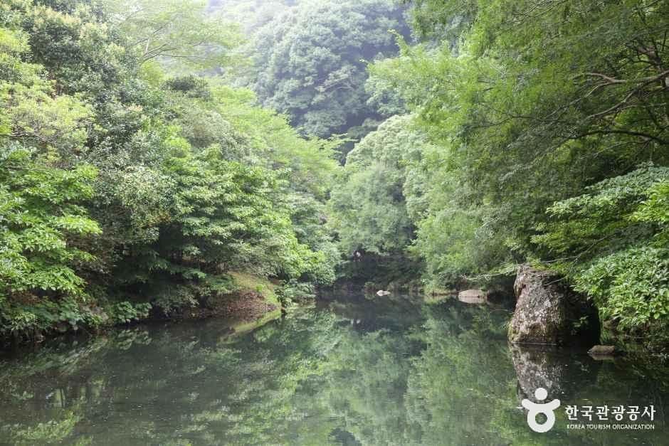 천지연폭포 사진 7