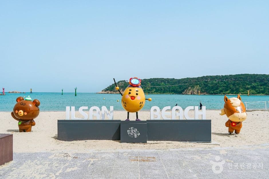 일산해수욕장(울산) 사진 3