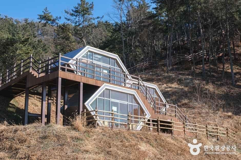 국립익산치유의숲