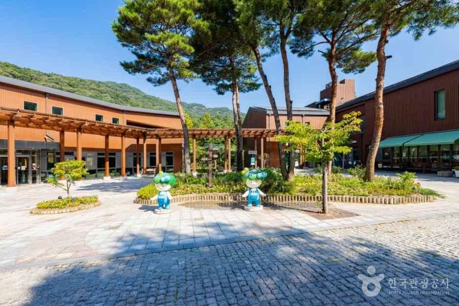 국립대전숲체원 사진 4