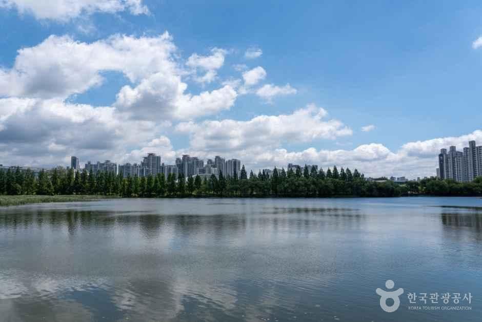 일월호수공원 사진 2