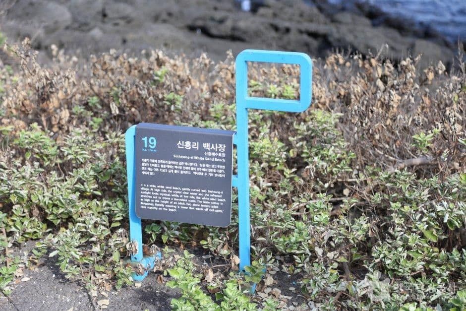 제주신흥해수욕장 사진 6
