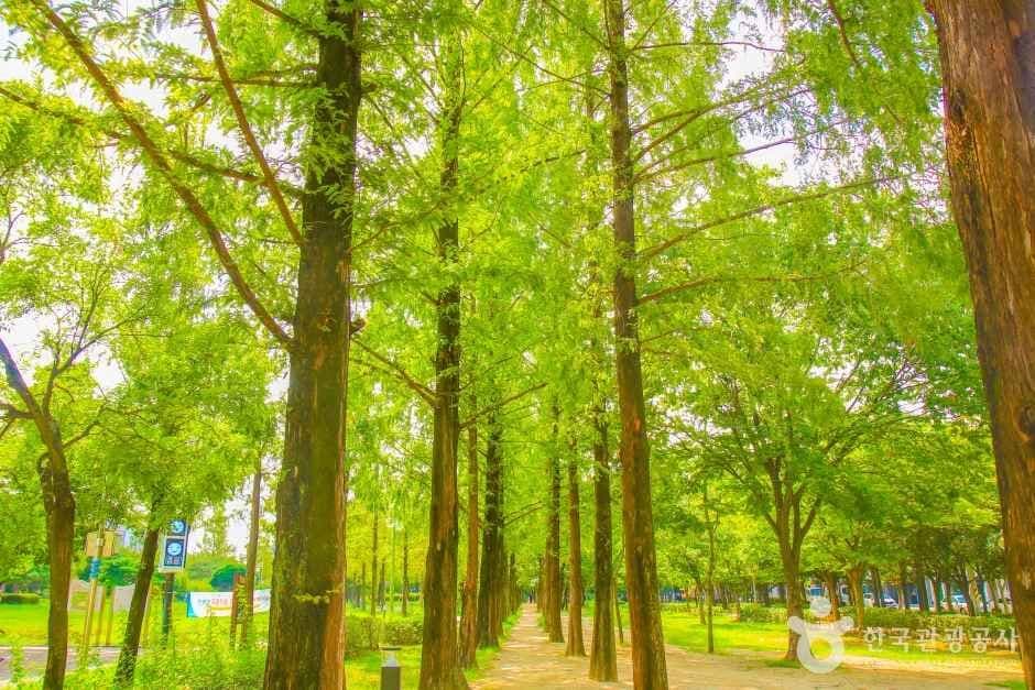 호산공원